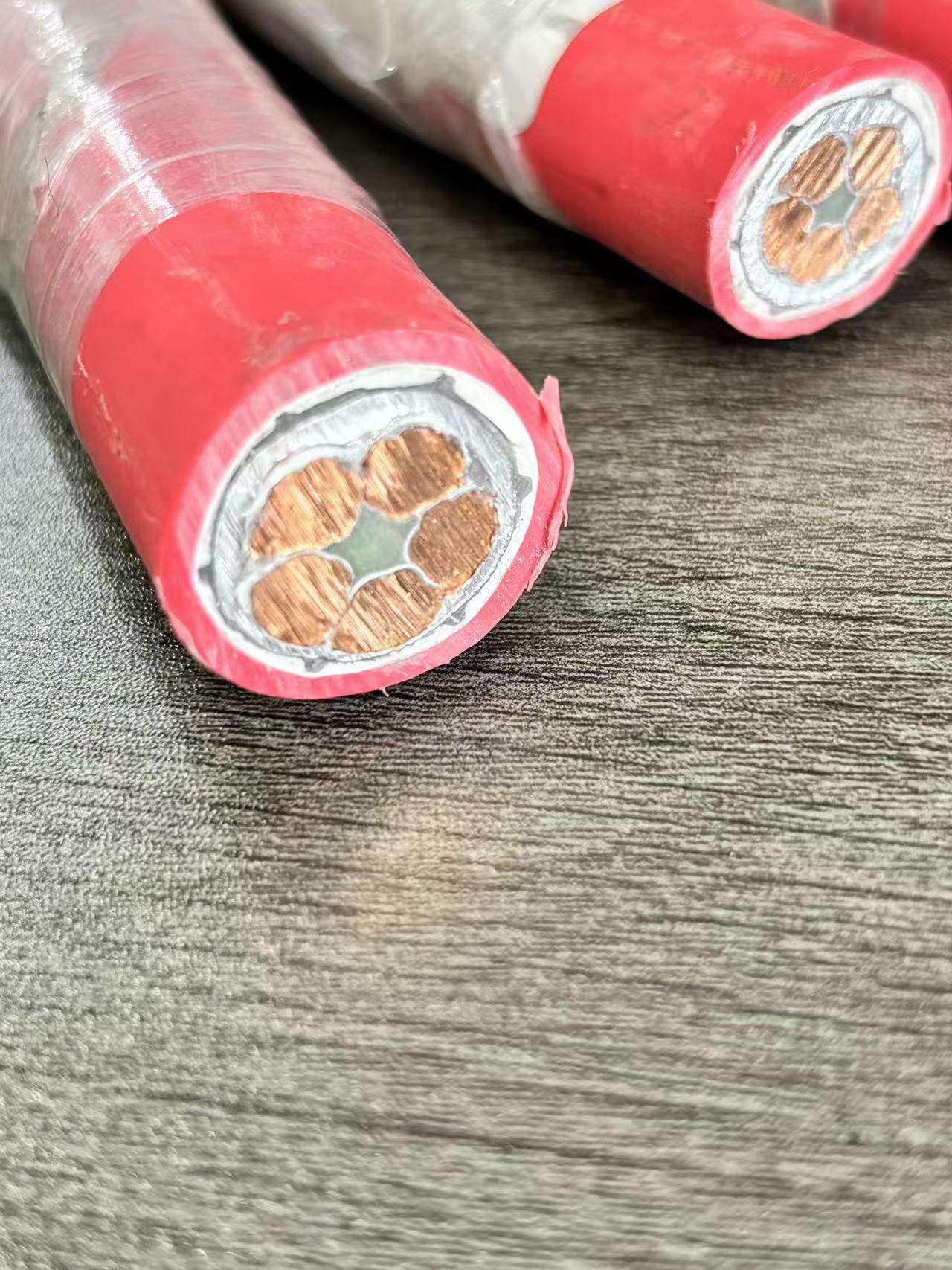 Mineral Insulated Fireproof Copper Cable For High-Rise Building Emergency Wiring - Image 4